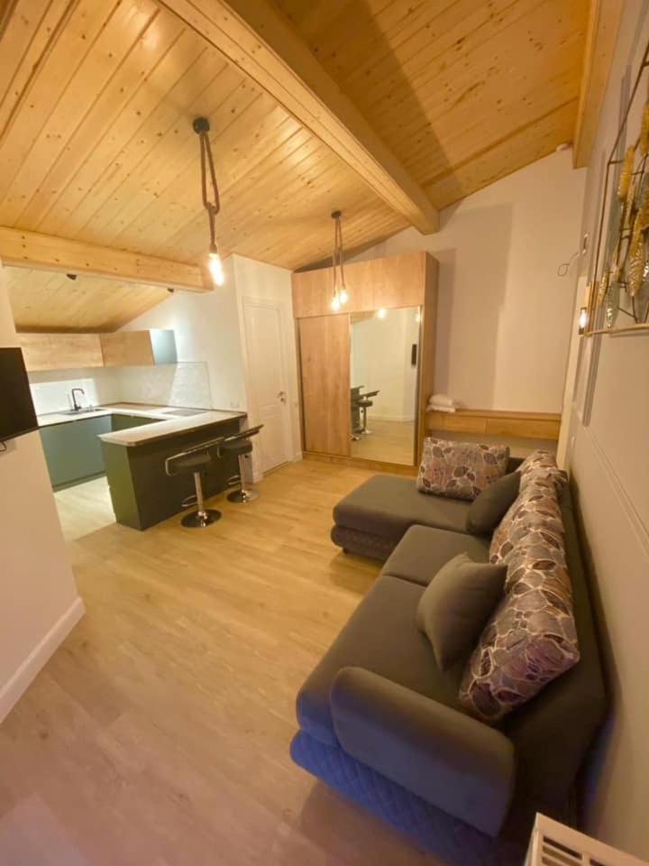 Winter House Gudauri Apartman Kültér fotó